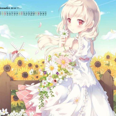 4岁马闯主人屋里拆家堪比二哈