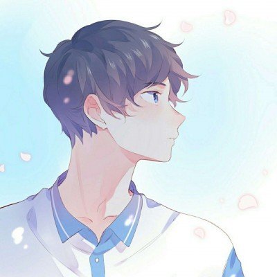 每月5000元给猫续命